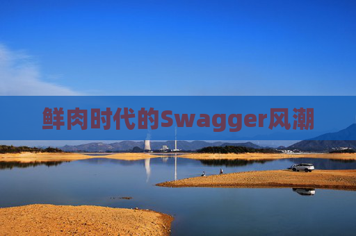 鲜肉时代的Swagger风潮