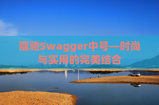 蔻驰Swagger中号—时尚与实用的完美结合