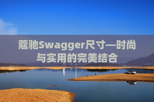 蔻驰Swagger尺寸—时尚与实用的完美结合