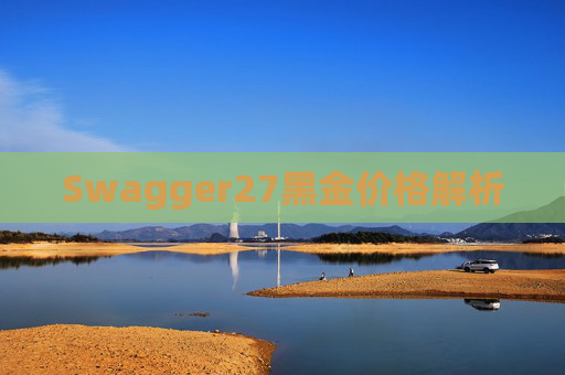 Swagger27黑金价格解析