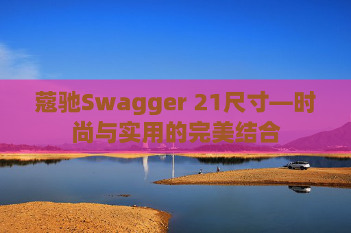 蔻驰Swagger 21尺寸—时尚与实用的完美结合