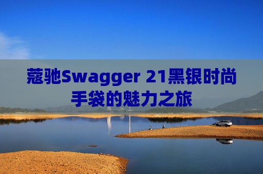 蔻驰Swagger 21黑银时尚手袋的魅力之旅