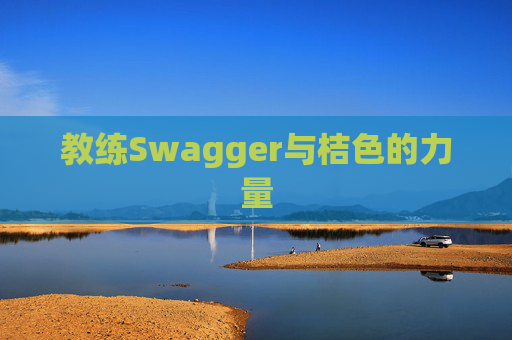 教练Swagger与桔色的力量