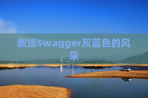 教练Swagger灰蓝色的风采